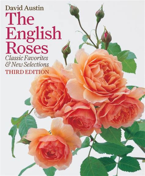 A History Of The English Rose .